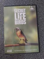 DVD THE SECRETS LIFE OF BIRDS 3DVD, Cd's en Dvd's, Dvd's | Documentaire en Educatief, Natuur, Ophalen of Verzenden, Zo goed als nieuw