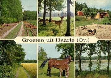 Groeten uit Haarle [Ov.] - 6 afb - langs bosrand en korenvel beschikbaar voor biedingen