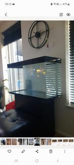Aquarium incl 3d achterwand, Vis