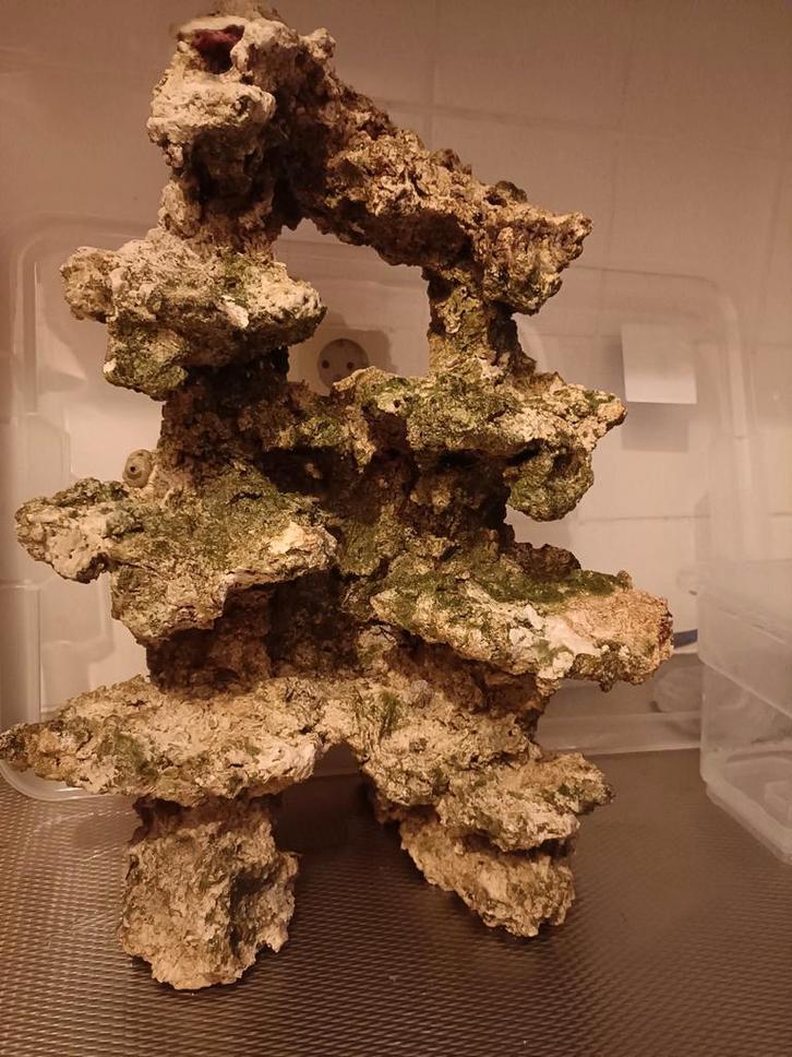 Pilaar zeeaquarium, Dieren en Toebehoren, Vissen | Aquaria en Toebehoren, Plant(en), Steen of Hout, Ophalen of Verzenden