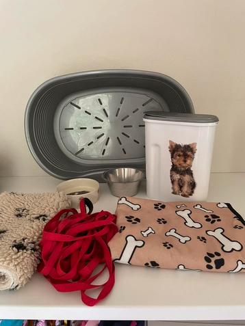 Totaalpakket voor een hond beschikbaar voor biedingen
