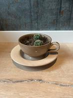 Te koop kop en schotel voor plantjes, Ophalen