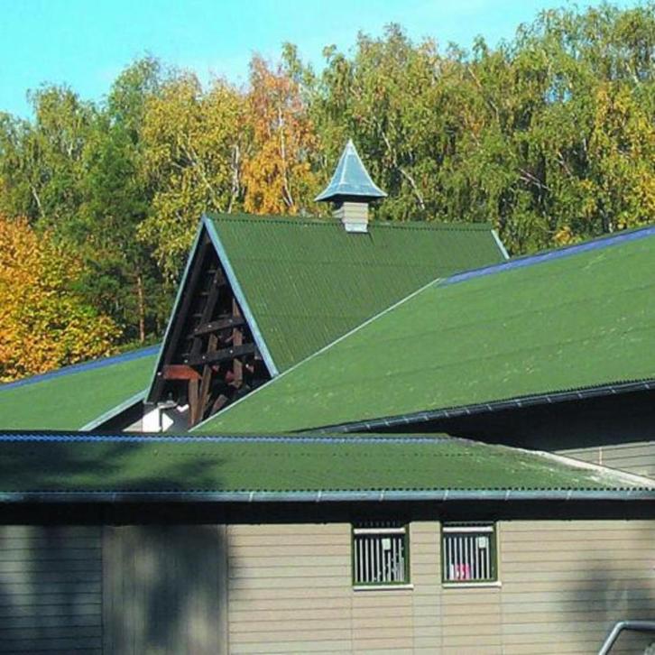Nieuwe groene onduline bitumen golfplaten 200x95 cm, Doe-het-zelf en Verbouw, Dakpannen en Dakbedekking, Nieuw, Dakplaat of Dakpanplaat