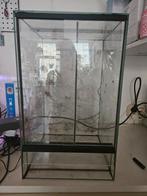 Klein terrarium/paludarium, 0 tot 2 jaar