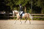 ️⭐️TOP SPORT/KINDER PONY️⭐️, Dieren en Toebehoren, Pony's, Merrie, Gechipt, Dressuurpony, 3 tot 6 jaar