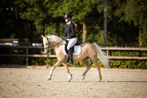 ️⭐️TOP SPORT/KINDER PONY️⭐️, Dieren en Toebehoren, Pony's, Merrie, L, C pony (1.27m tot 1.37m), Dressuurpony, 3 tot 6 jaar, Met stamboom