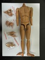 DiD 1/6 Body, Ophalen of Verzenden, Nieuw