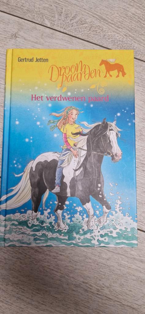 Droompaarden: Het Verdwenen Paard, Boeken, Kinderboeken | Jeugd | onder 10 jaar, Zo goed als nieuw, Fictie algemeen, Ophalen of Verzenden