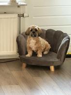 Sofa voor hond of kind, Ophalen of Verzenden, Zo goed als nieuw, Hout, Eén