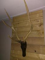 gewei, Huis en Inrichting, Ophalen, Zo goed als nieuw