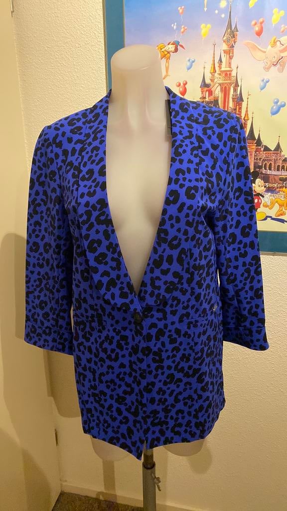 Nieuw mooie blazer, maat L merk Jane Lushka, Overige kleuren, Maat 42/44 (L), Nieuw, Ophalen of Verzenden