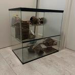 Glazen hamsterkooi, Dieren en Toebehoren, Knaagdieren en Konijnen | Hokken en Kooien, Kooi, Minder dan 75 cm, Minder dan 60 cm