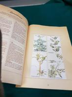 kamerplanten boek libelle, Ophalen of Verzenden