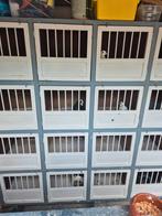 Licht hok van 16, Dieren en Toebehoren
