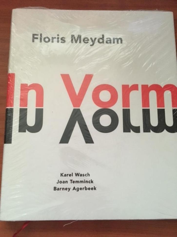 Floris Meydam: In Vorm, Boeken, Kunst en Cultuur | Fotografie en Design, Nieuw, Overige onderwerpen, Ophalen of Verzenden