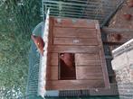 Te koop duiven hok / til, Dieren en Toebehoren, Pluimvee | Toebehoren, Ophalen, Gebruikt, Overige typen