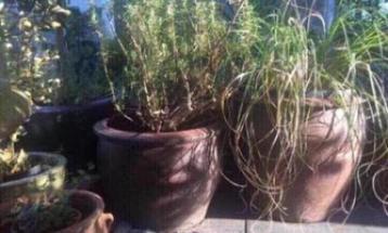 Oude grote terracotta bloempotten diverse beste kwaliteit beschikbaar voor biedingen