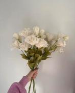 Witte Kunstrozen van IKEA - Mooie Decoratie, Ophalen of Verzenden, Zo goed als nieuw, Binnen