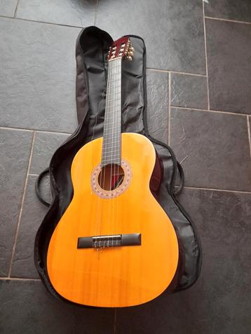 Akoestische Gitaar met gitaar draag hoes beschikbaar voor biedingen