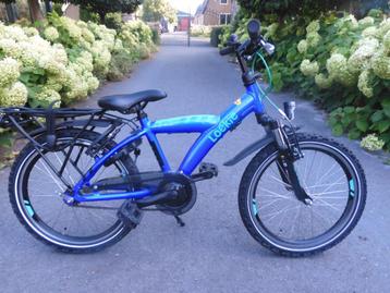 Coole blauwe 20" Loekie Snake van 1 jaar oud beschikbaar voor biedingen