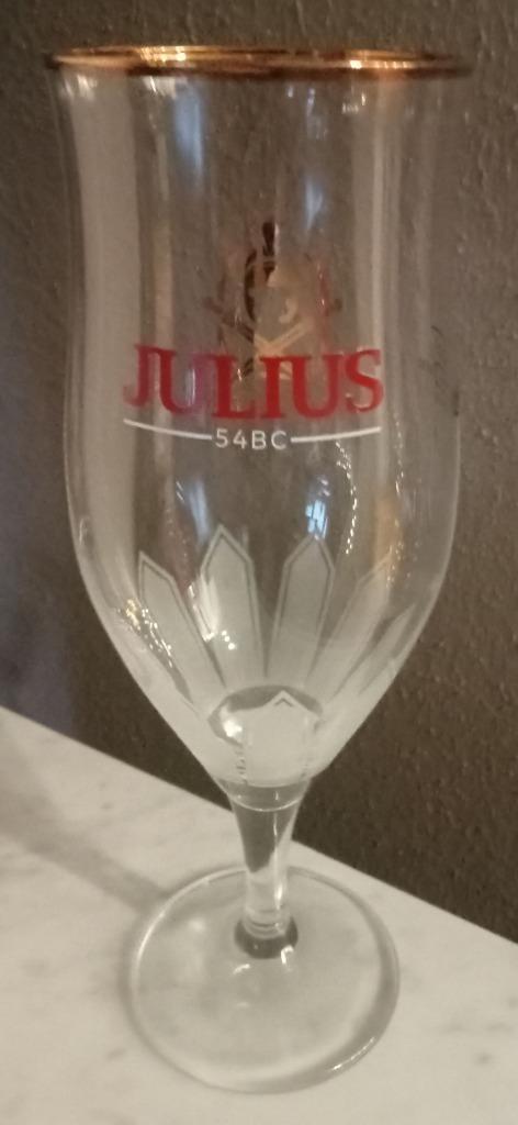 3  Hoegaarden Julius bier voetglazen 33cl, Verzamelen, Biermerken, Zo goed als nieuw, Glas of Glazen, Overige merken, Ophalen of Verzenden