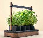 Auk Mini Kweekset - Zo Goed Als Nieuw!, Ophalen, Zo goed als nieuw, Kweekbak