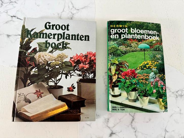 Groot Kamerplanten boek en bloemen en plantenboek ZGAN!, Boeken, Wonen en Tuinieren, Gelezen, Kamerplanten, Ophalen of Verzenden