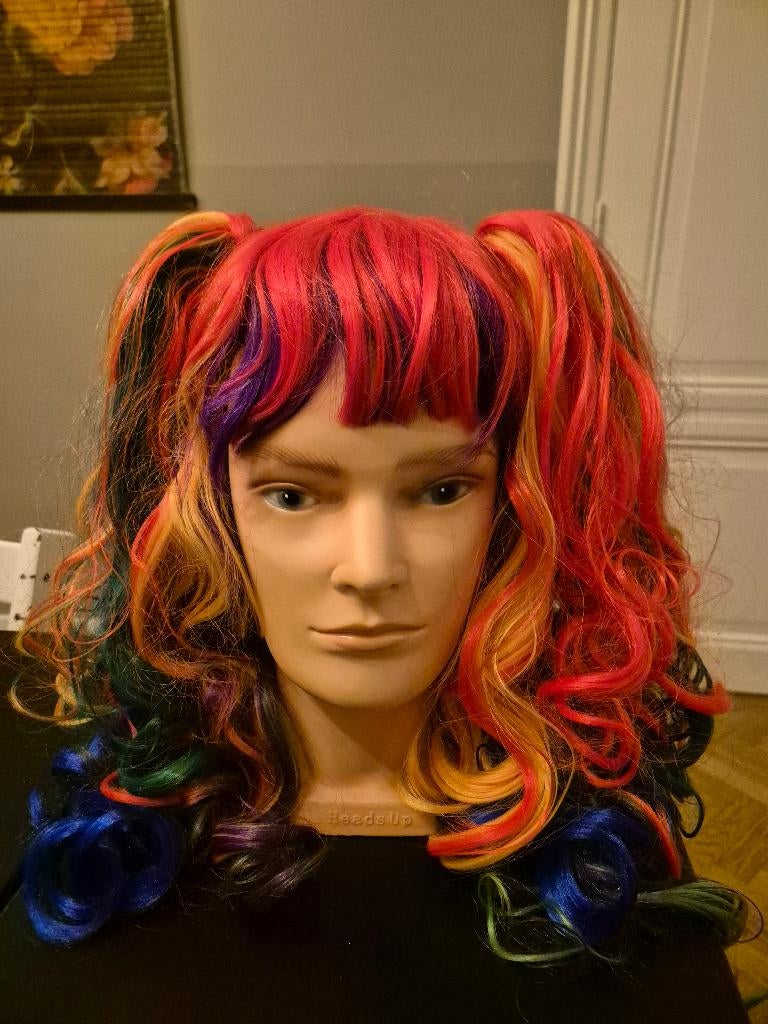 Pruik regenboog lange krullen carnaval, Ophalen of Verzenden, Nieuw, Hoed of Pruik, Carnaval