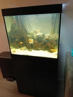 Juweel lido 200 liter graag teruil voor groter, Dieren en Toebehoren, Vissen | Aquaria en Toebehoren, Ophalen