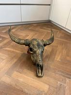 Skull Decoratie Buffel schedel Buffelschedel Brons Goud, Ophalen of Verzenden, Zo goed als nieuw