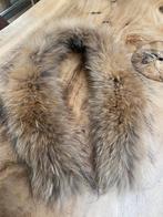 Bontkraag wasbeer, Kleding | Dames, Jassen | Winter, Ophalen of Verzenden, Nieuw