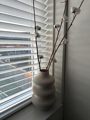 Vaas met katoentakken