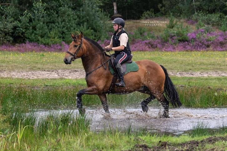Bijrijder gezocht, Hobby en Vrije tijd, Overige Hobby en Vrije tijd, Ophalen
