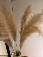 Pampas gras takken, Huis en Inrichting, Woonaccessoires | Droogbloemen, Ophalen, Zo goed als nieuw