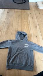 In Gold We Trust hoodie, Ophalen of Verzenden, Zo goed als nieuw, Maat 46 (S) of kleiner, Grijs