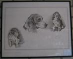 kunstwerk van Joel Kirk, portret van beagle hond, zwart-wit, Ophalen of Verzenden