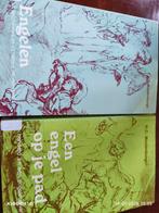 Engelen boeken van H.C. Moolenburgh, Boeken, Ophalen of Verzenden, Gelezen, H.C. Moolenburgh