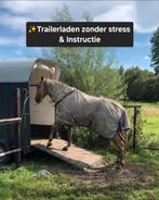 Trailerladen zonder stress - Hulp en training aan huis., Dieren en Toebehoren