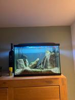 Aquarium 60x35., Dieren en Toebehoren, Vissen | Aquaria en Toebehoren, Ophalen, Zo goed als nieuw, Gevuld zoetwateraquarium