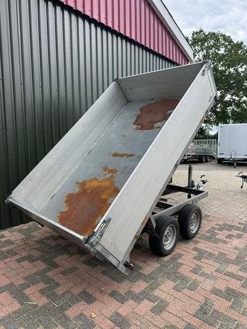 Super saris kipper jong gebruikt !! 3000 kg !!! beschikbaar voor biedingen