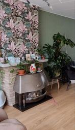 Dru Loevestein Gashaard - Klassiek!, Huis en Inrichting, Ophalen, Gebruikt, Gas, Vrijstaand