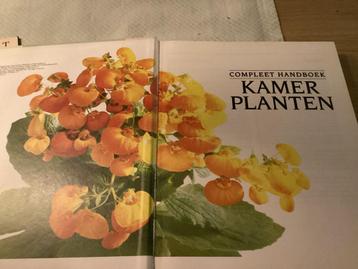 Handboek Kamerplanten - Compleet! beschikbaar voor biedingen