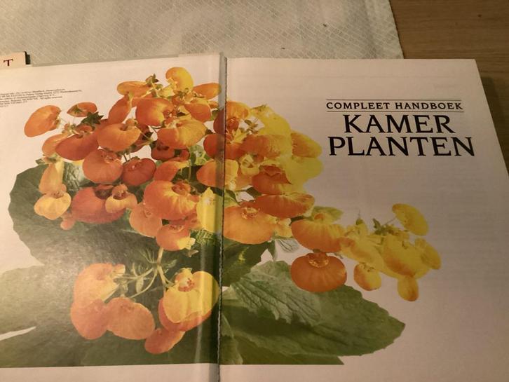 Handboek Kamerplanten - Compleet!, Boeken, Wonen en Tuinieren, Gelezen, Kamerplanten, Ophalen of Verzenden