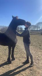 Weekend/vakaniebaan gezocht!, Dieren en Toebehoren, Ophalen of Verzenden, Zo goed als nieuw