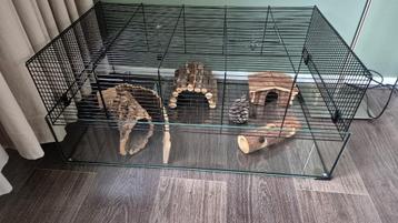 Zeer mooie Hamster kooi / Inclusief vele extra's beschikbaar voor biedingen