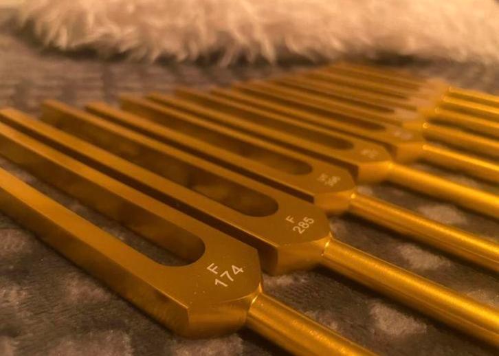Soundhealing Stemvorken ❣️, Muziek en Instrumenten, Percussie, Nieuw, Ophalen of Verzenden