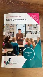 Pedagogisch werk 1 niveau 3 en 4, Ophalen of Verzenden, Zo goed als nieuw, Overige niveaus