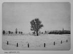 Twentse landschap - serie van 8 - Kunstenaar: Don Englander, Ophalen of Verzenden
