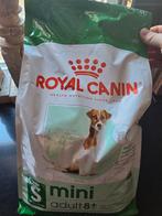 Royal canin mini adult 8+ size 6, Dieren en Toebehoren, Dierenvoeding, Hond, Ophalen