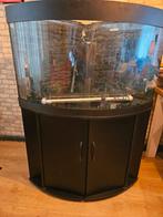 Aquarium Hoek model, Dieren en Toebehoren, Vissen | Aquaria en Toebehoren, Ophalen, Gebruikt, Leeg aquarium